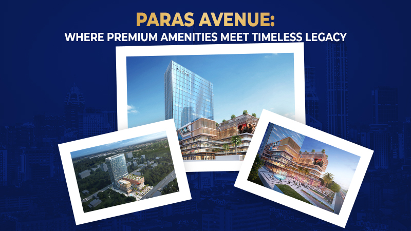 Paras Avenue: Where Premium Amenities Meet Timeless Legacy